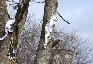 Kiljusen perheen kissat ovat jo Vammalassa.