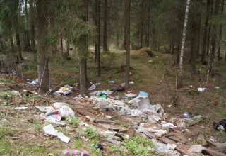 Tällainen määrä törkyä ei keräänny metsään ihan hetkessä.