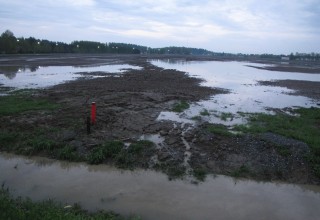 Vesi lainehti meijerin viereisellä pellolla sunnuntai-iltana.