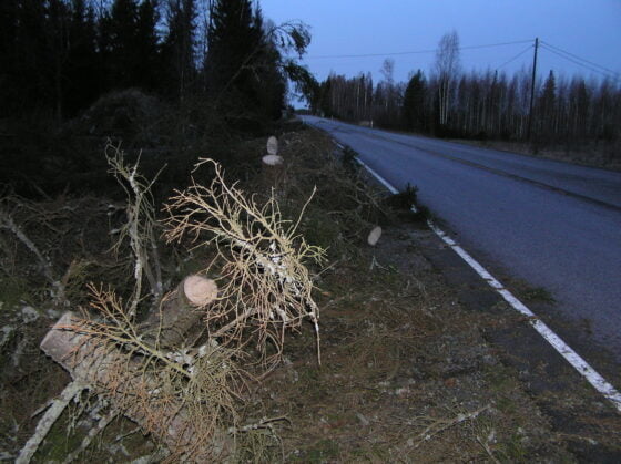 Myrskyn jälkiä