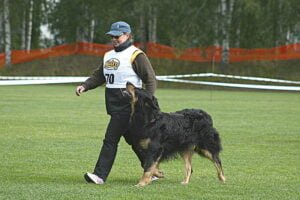 Niina Ojansivu ja Peto-koira 