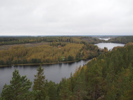Maisema Pirulanvuoren näkötornista