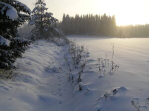 Ketunjäljet lumella