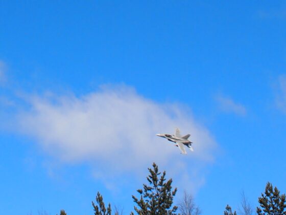 Hornet Mouhijärven yllä