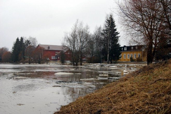 Loimijoki tulvii Huittisissa.