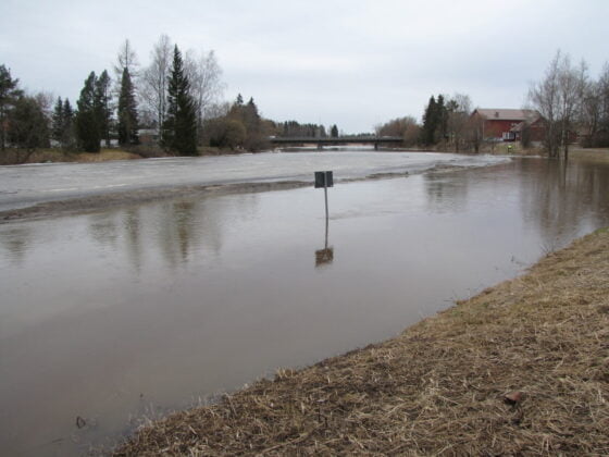 Loimijoki