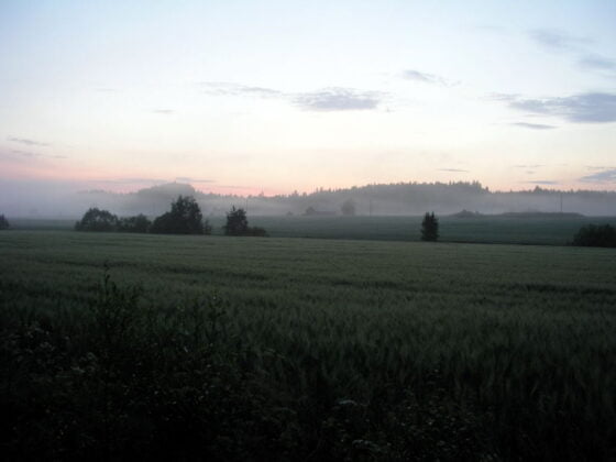 Kesäyö