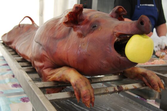 sika
