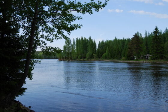 Kokemäenjoki