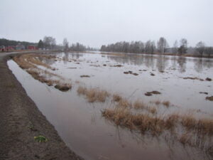 Kokemäenjoen vedenpinta on Huittisten Lauhassa poikkeuksellisen korkealla.