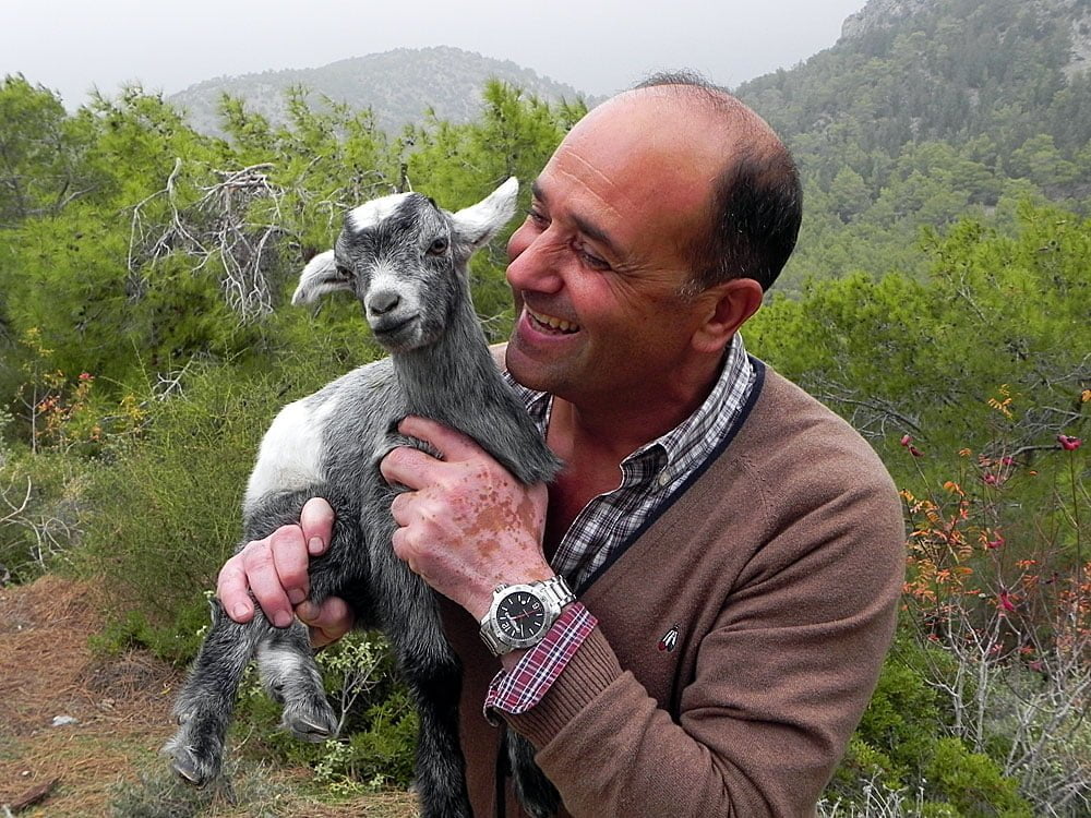 Savas Boransel