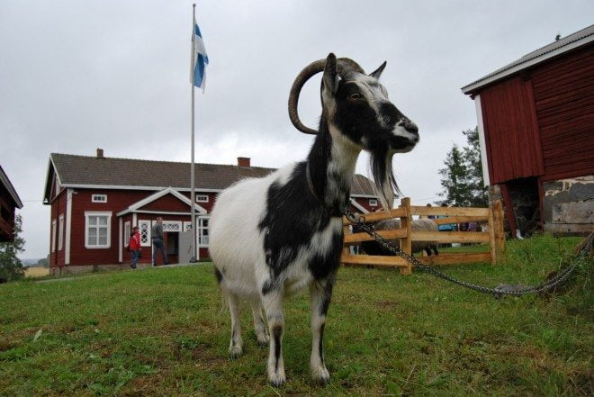Keikyän kotiseutumuseo