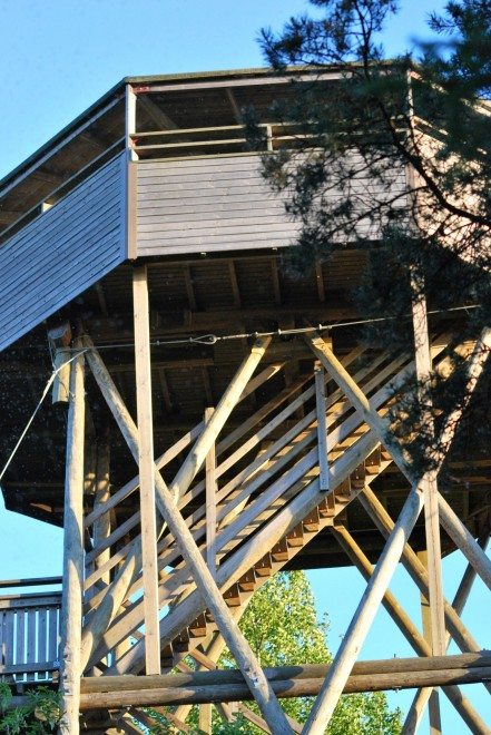 Puurijärvi