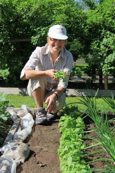 Aino Haaviston retiisit saavat kasvaa vielä parin viikon ajan.