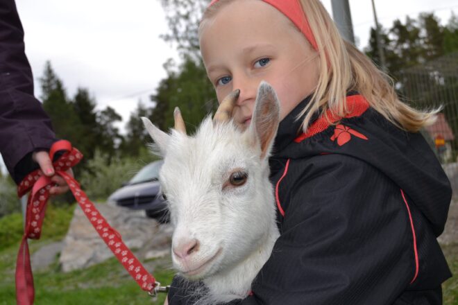 Juulia Harju arvelee, että parin kuukauden ikäinen Ansku kasvaa nelinkertaiseksi nykyisestä olemuksestaan.