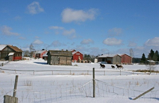 Kuva 16. Pala maalaisemaisemaa. (Kalliala, Pirasen Eskon mailla, maaliskuulla)