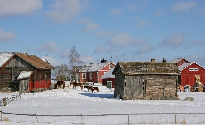 Kuva 27. Ruokajono. (Esko Pirasen mailla)