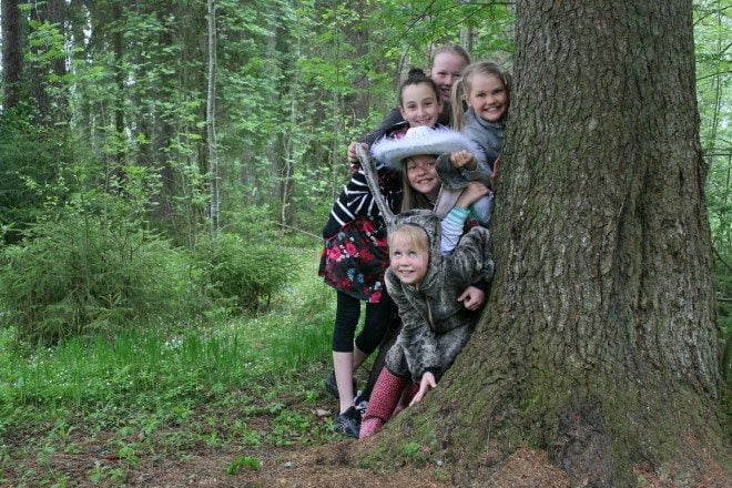 Kuva 40. Jäniksen jäljillä. Öinen sade oli tauonnut, varhaiskesän hyttyset tanssivat valssia ja metsätie rahisi jalkojen alla. Päätän pysähtyä metsätien varteen, sillä ympärilläni levittäytyvä maisema oli hieno: ikikuusien oksilla roikkui naavaa, ketunleipä kukki, koivu tuoksui ja joku lauloi näreikön kätköissä. Lauloi? Kävelen hitaasti ääntä kohti ja kurkistan metsikön sisään. Mitä ihmettä, sehän oli jänis, se harmaaturkkinen metsäläinen! Laulava jänis? Peräännyt, etten häiritsisi jänöä, ja sen ystäviä. Kävelen verkkaan eteenpäin, mutta palaankin takaisin: "Hei Jänis, saanko ottaa sinusta ystävistäsi kuvan?" Jänis seurueineen tuumaa hetken, nyökkää ja huikkaa näreikön keskeltä: Joo!
