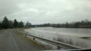 Loimijoki