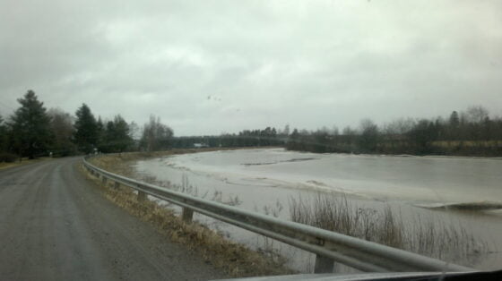 Loimijoki