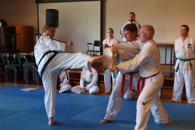 Taekwondo-esityksessä nähtiin näyttäviä potkuja.