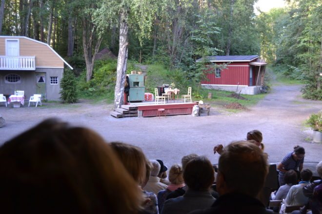 simpauttaja