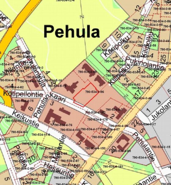 Pehulan tontti