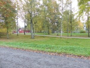 tervakallio