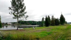 Vuoden maisemateko