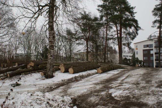 Kaadettuja puita Seukunmäellä