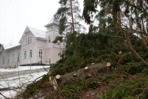 Seuratalo, Seukku