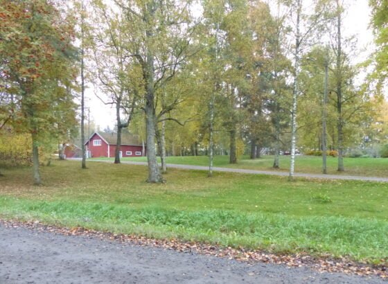 tervakallio