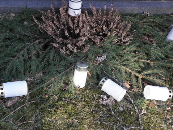 Siivoustalkoot