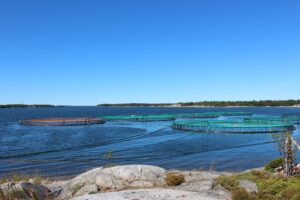 Kalankasvatusaltaat
