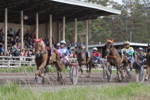 Kokemaki110617TPeltosaari1