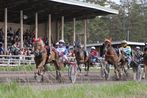 Kokemaki110617TPeltosaari1