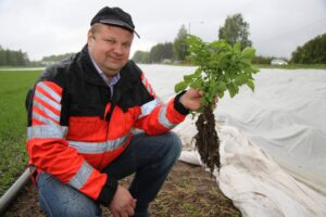 Pekka Heikkilä, peruna