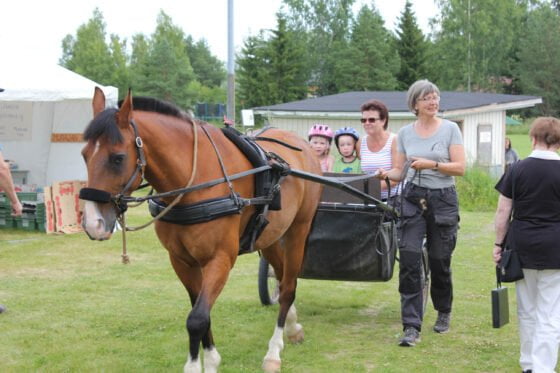 Kylämarkkinat 2017