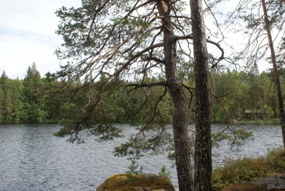 Ritajärvi