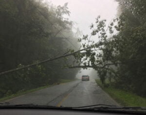 Irma, nosto