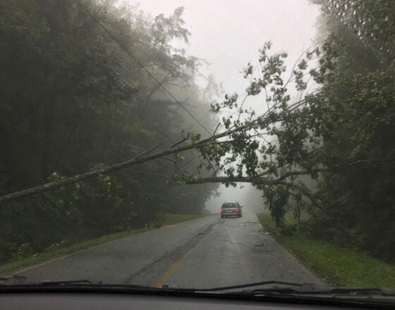 Irma, nosto