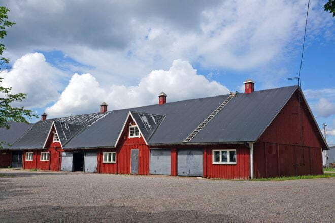 Räpin koetila
