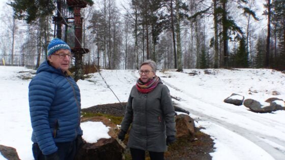 ellivuoren kaava
