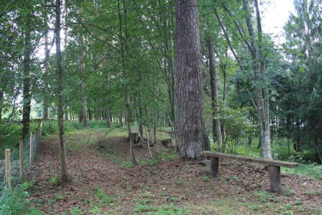 Köyliönjärvi