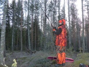 heli ketola, metsästys