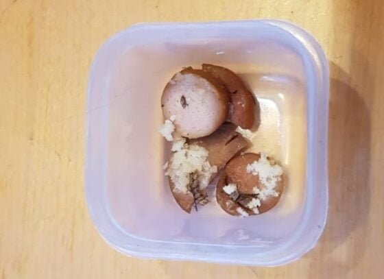 makkara