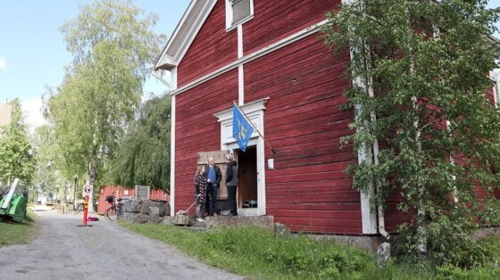 Lainamaksiini