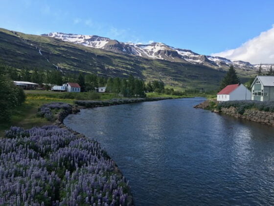 Islanti, Seydisfordur