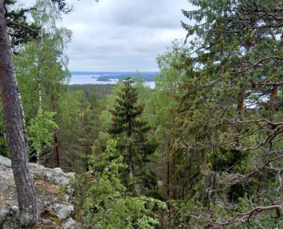 pirunvuori, Visitsastamala