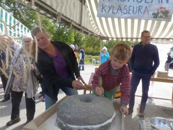 Kylamarkkinat, Arvid